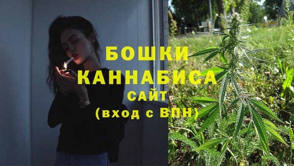 бошки Коряжма