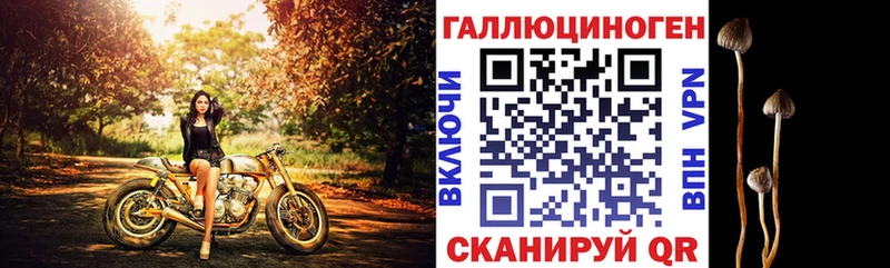 Псилоцибиновые грибы прущие грибы купить наркоту Нальчик